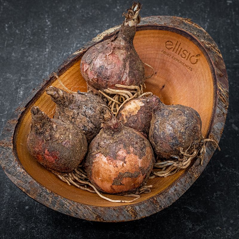 Lampascioni, Verdura, Shop Online