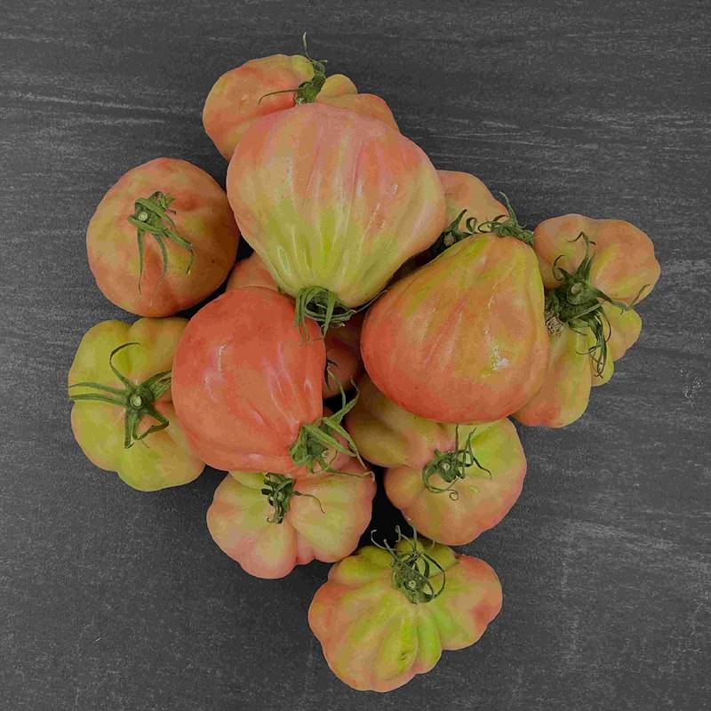 Cassetta Pomodoro Cuore, Ellisio Selezione Cassette, Shop Online