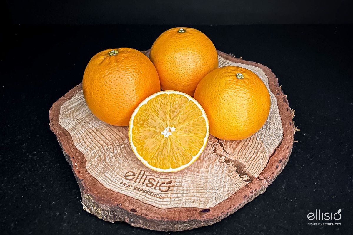 Il Viaggio Gustoso - Cavolo Arancio e Viola