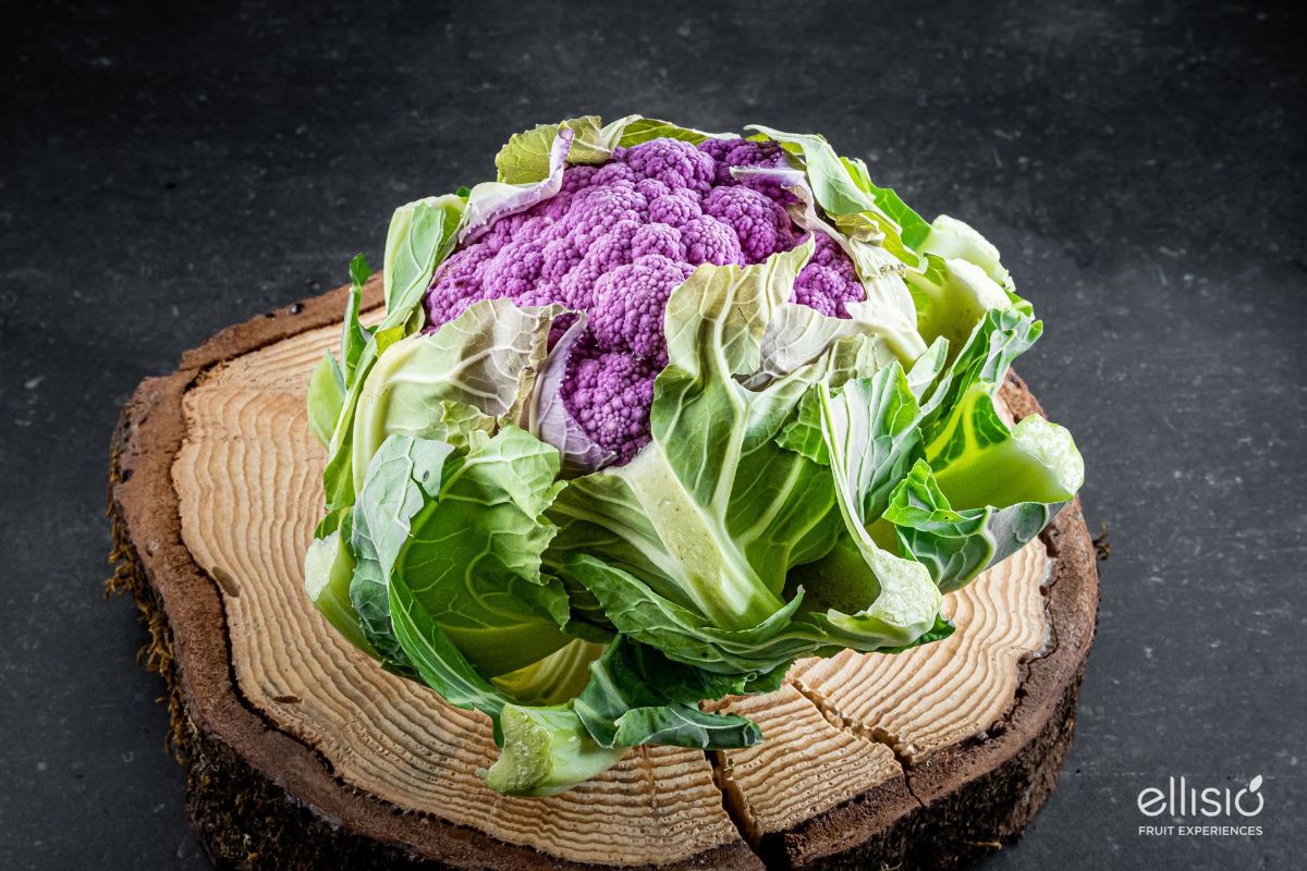 Il Viaggio Gustoso - Cavolo Arancio e Viola