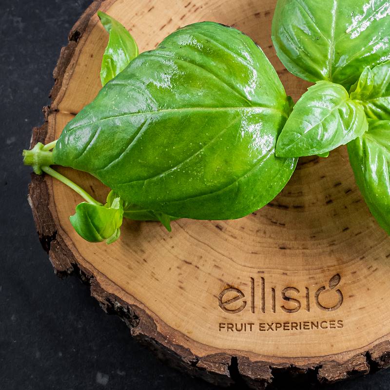 Ellisio