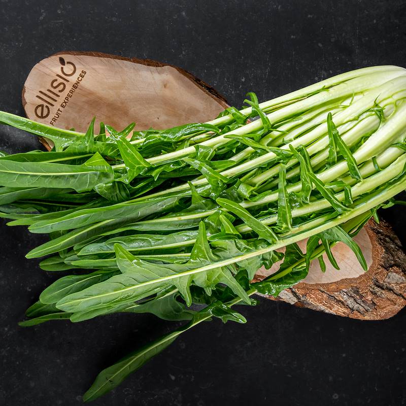 Catalogna Cimata (o Puntarella), Verdura, Shop Online