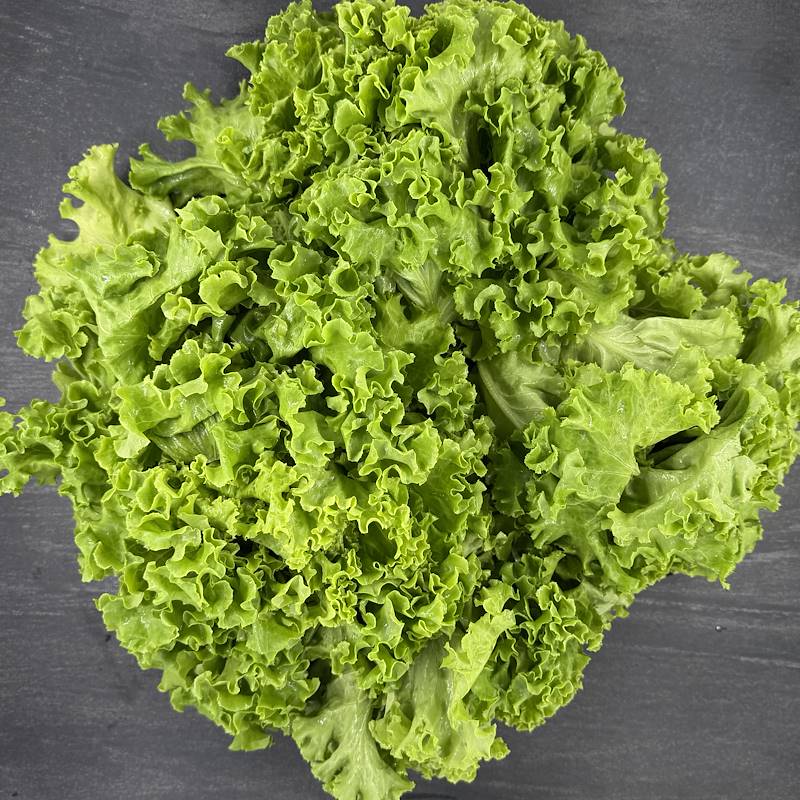 Cassetta Insalata Gentile