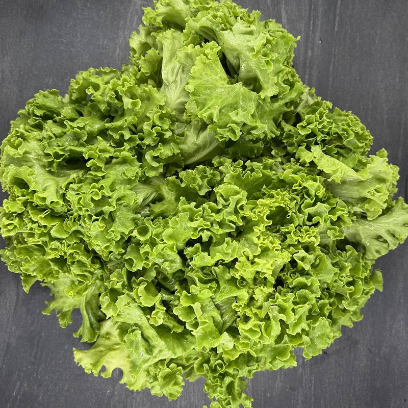 Cassetta di Insalata Gentile