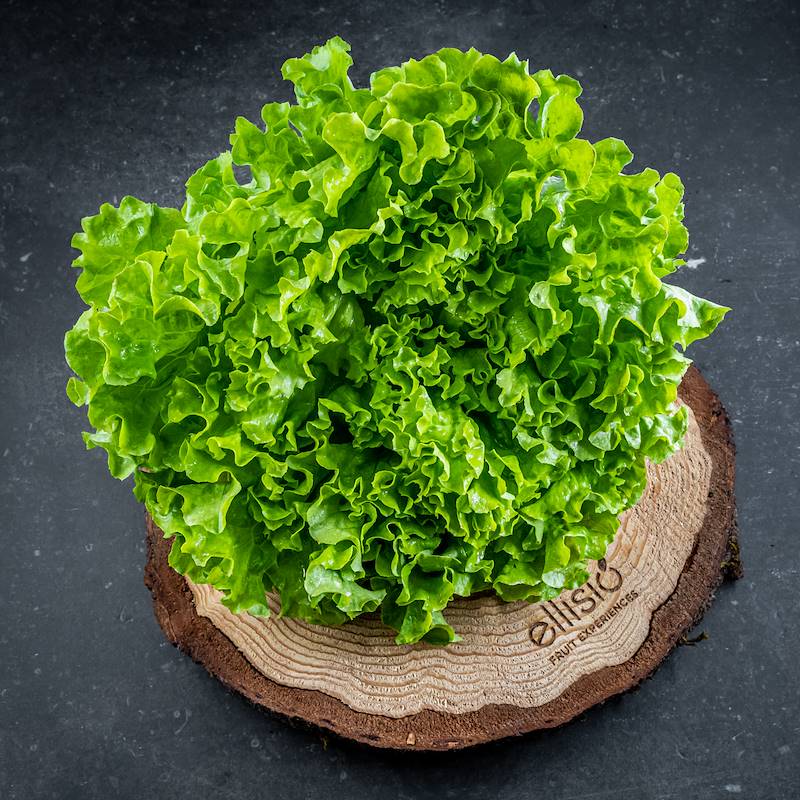 Insalata Gentile, Verdura, Shop Online