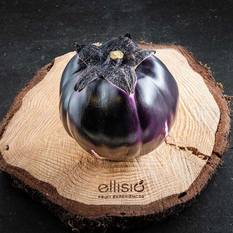 Melanzana Tonda Viola