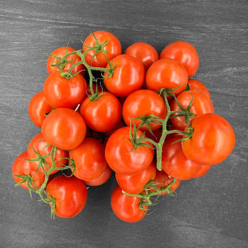 Cassetta Pomodoro Tondo