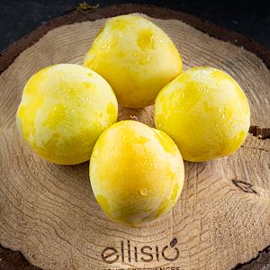 Ellisio