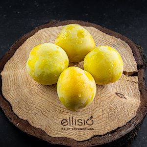 Ellisio