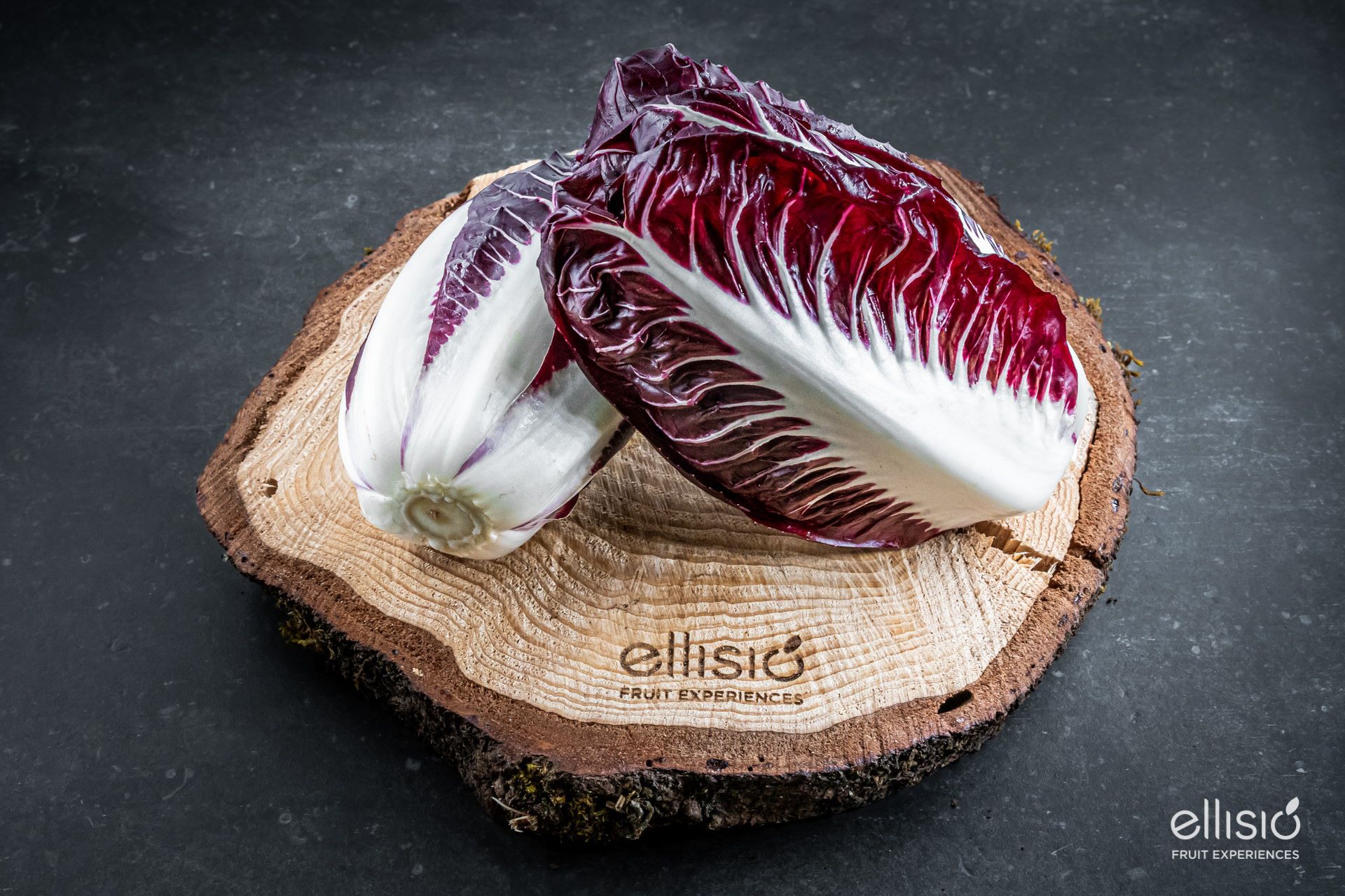  RADICCHIO PRECOCE e RADICCHIO TARDIVO