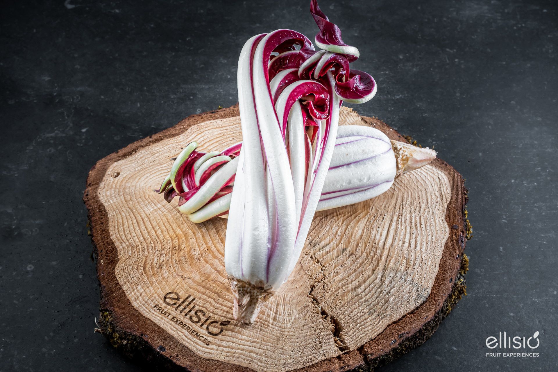 Il Viaggio Gustoso - Radicchio Precoce e Tardivo