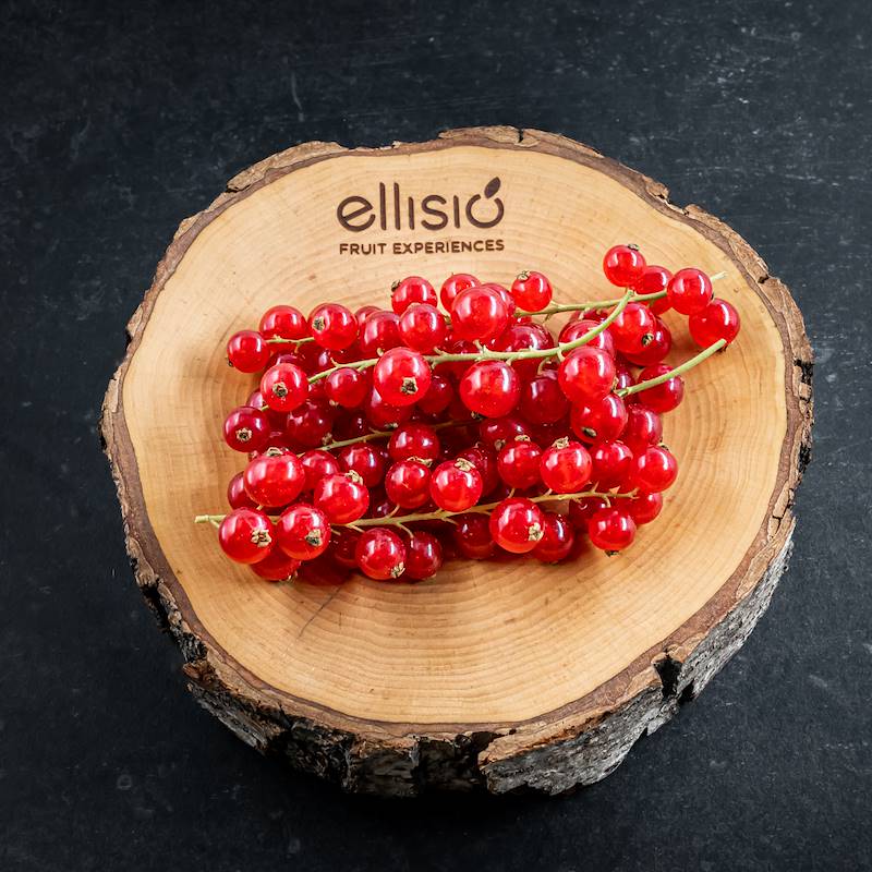 Ellisio