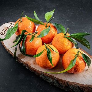 Ellisio