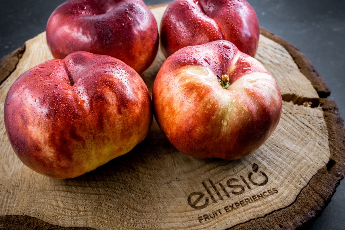 SETTIMANA DELLA PESCA