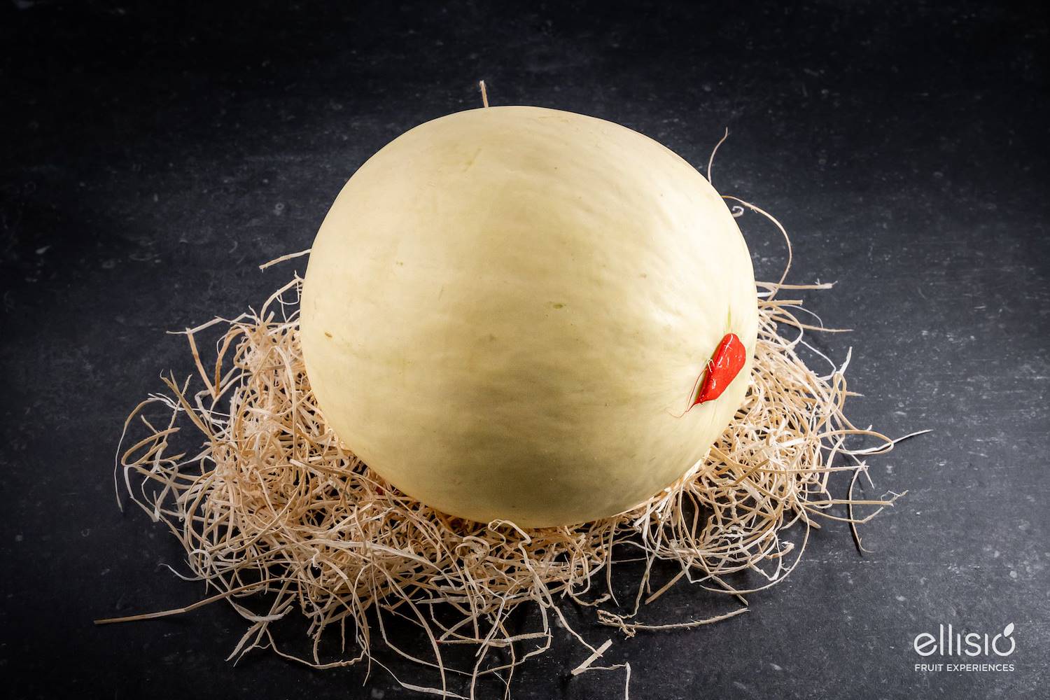 Il Viaggio Gustoso - MELONE RETATO O MELONE LISCIO?