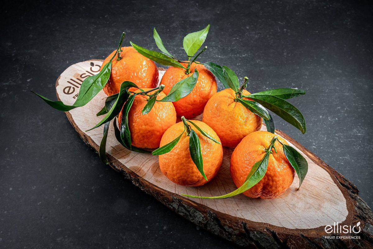 Il Viaggio Gustoso - Clementina e Mandarino