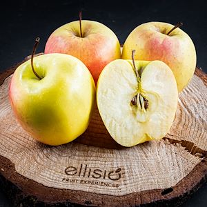 Ellisio