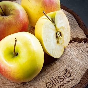 Ellisio